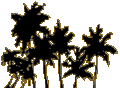 palmen4